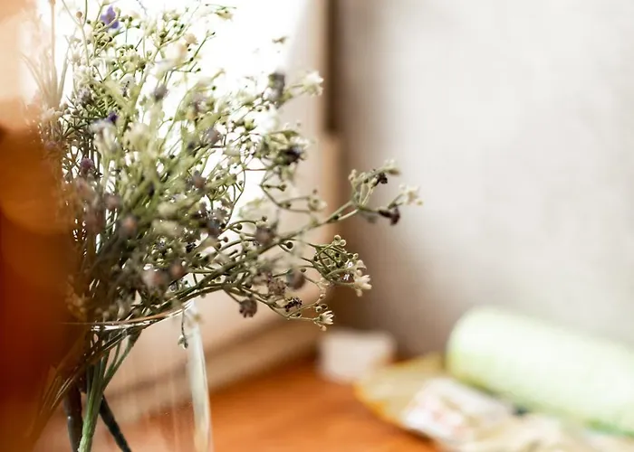 Dio Vendeghaz Semesterbostad *